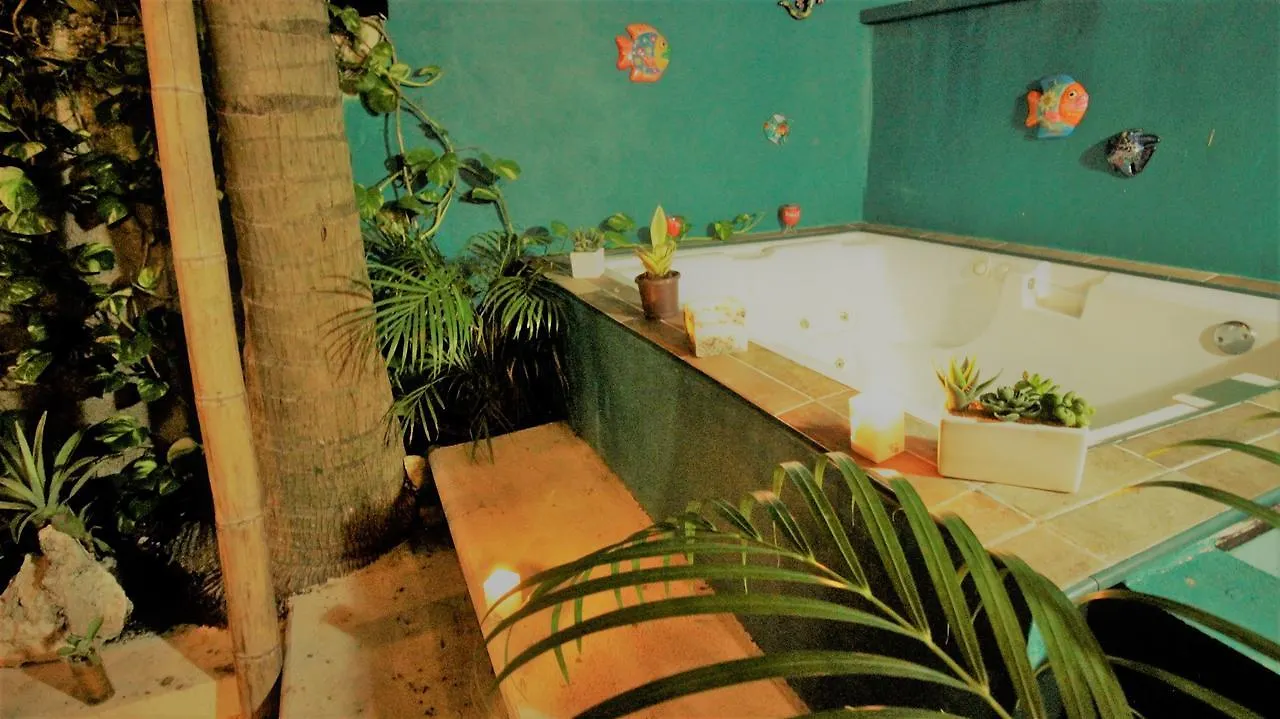 Guest house Casa Seloa Hotel Playa del Carmen